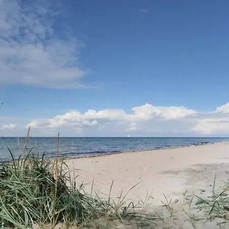 Roter Milan * Groß Schwansee